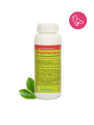 Фрайтенавис